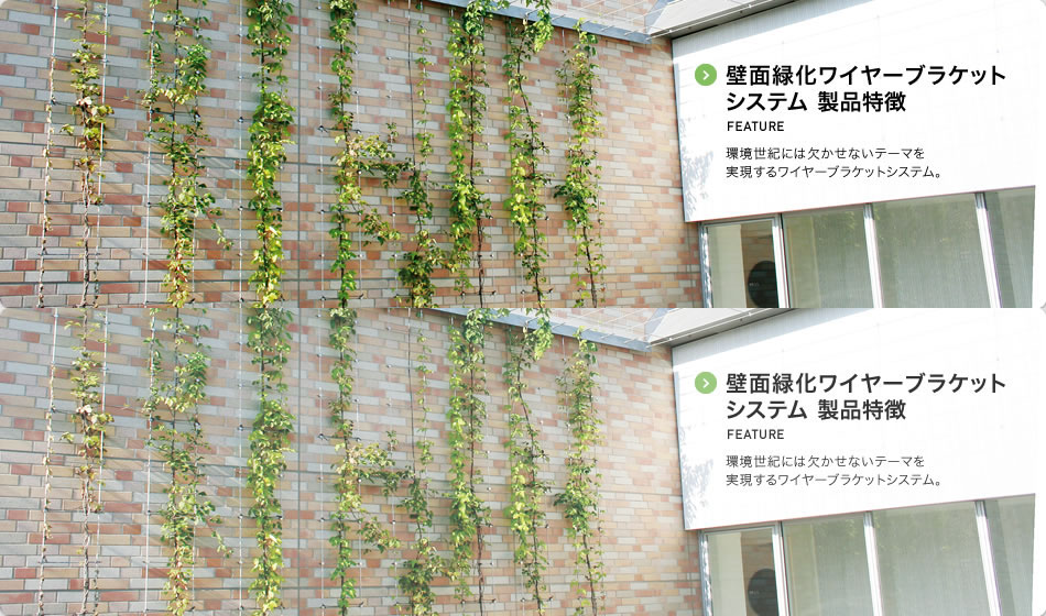 壁面緑化ワイヤーブラケットシステム 製品特徴 FEATURE 環境世紀には欠かせないテーマを実現するワイヤーブラケットシステム。