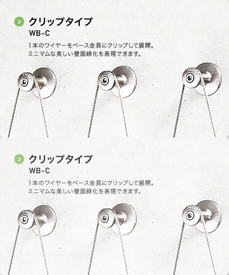 クリップタイプ WB-C 1本のワイヤーをベース金具にクリップして展開。ミニマムな美しい壁面緑化を表現できます。