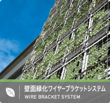 壁面緑化ワイヤーブラケットシステム